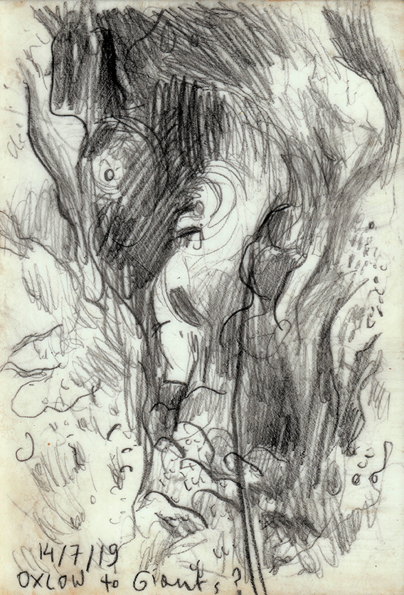 On the way to the Chamber of Horrors. Illustration Copyright © Dominika Wróblewska Drawing